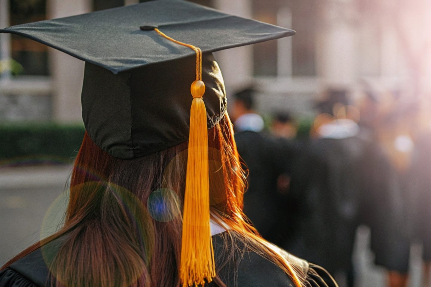 米国における学位別の年収を示すグラフと、男女間の収入格差の概念図