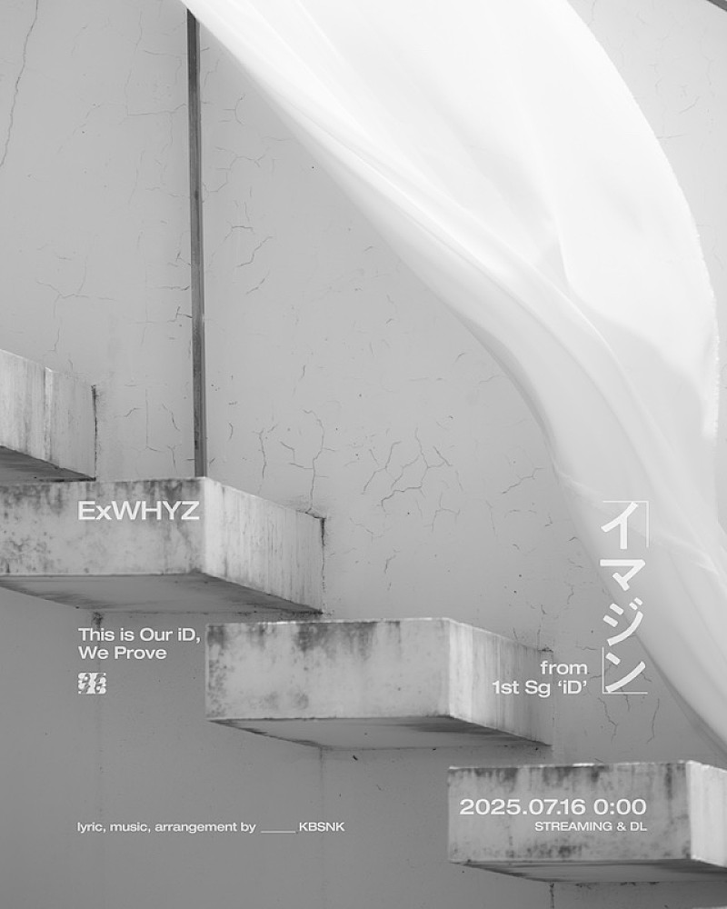 動く曲面を追いかけて   新版/日本評論社/儀我美一（単行本） 動く曲面を追いかけて (チュートリアル:応用数理の最前線) | 儀