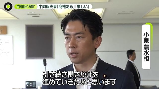 日本産牛肉の中国輸出再開に期待を示す小泉農林水産相
