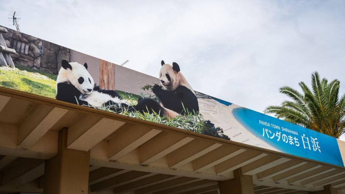 中国へ返還されるパンダを見送る人々、和歌山県白浜町