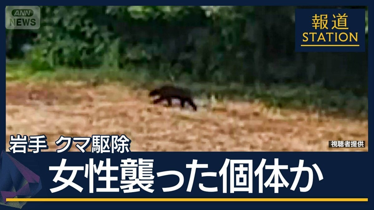 岩手県北上市のクマ出没・駆除現場周辺の様子