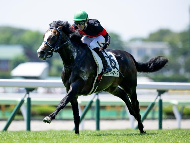 ◎ブチコ　単勝馬券　新馬戦あり　５枚セット◎ 2025年最新】ブチコ 競馬の人気アイテム - メルカリ