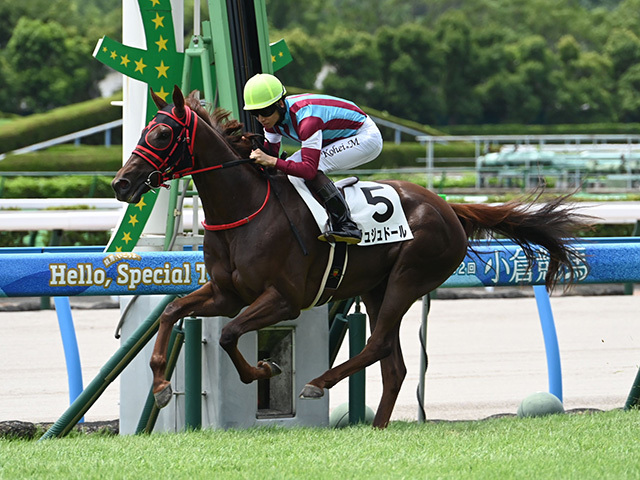 ☆限定価格☆ お稽古　三味線　一式　早い者勝ち 把手の金物 φ9 鉄 サイズオーダー | PS-HD006-08-G017 | 取っ手