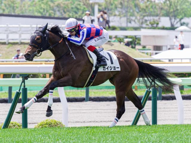 函館2歳S】カイショー、ブラックチャリスらが登録（netkeiba