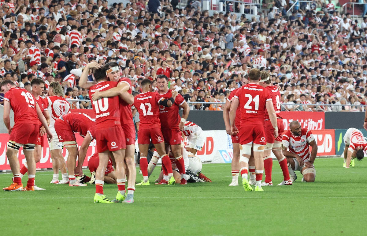 ラグビーウェールズ代表　選手仕様ジャー（Sサイズ） ラグビー ウェールズ代表 トレーニングジャージ XSサイズ