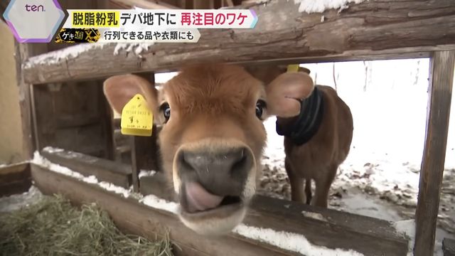 バター生産で生じる余剰脱脂粉乳の活用に光が当たる様子