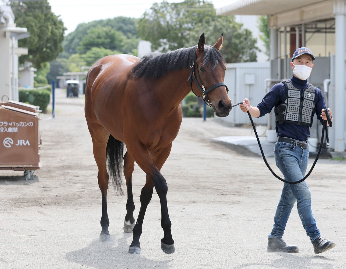 注目馬動向】安田記念4着のブレイディヴェーグは新潟記念へ