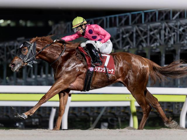 【大井・優駿スプリント枠順】トライアルを制したリオンダリーナは6枠12番、無傷5連勝中のブライトフラッシュは3枠5番（netkeiba） - Yahoo!ニュース