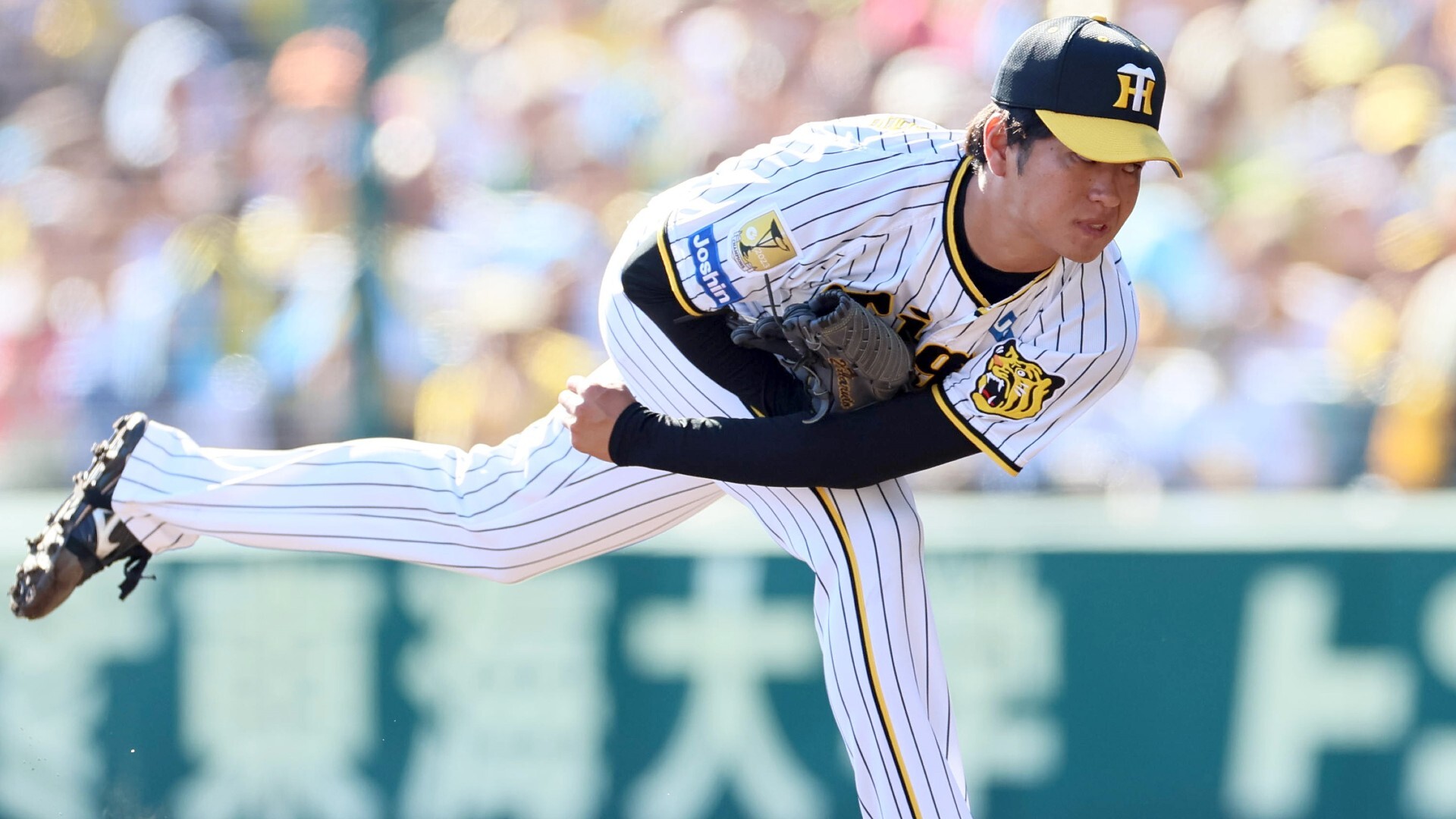 阪神タイガース・読売ジャイアンツ・ヤクルトスワローズ・ボール・練習球・プロ野球 巨人に3連勝で首位の阪神が投手練習 8日からのヤクルト3連戦