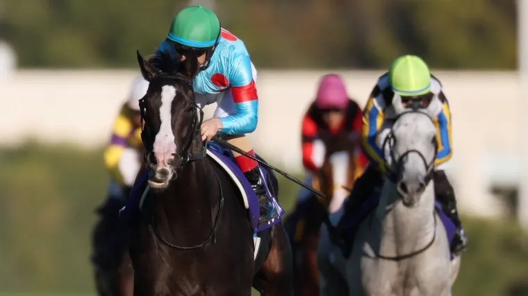 【期限切れ単勝馬券】　2歳新馬　ゴールドアリュール 期限切れ単勝馬券】 2歳新馬 ゴールドアリュール 期限切れ単勝