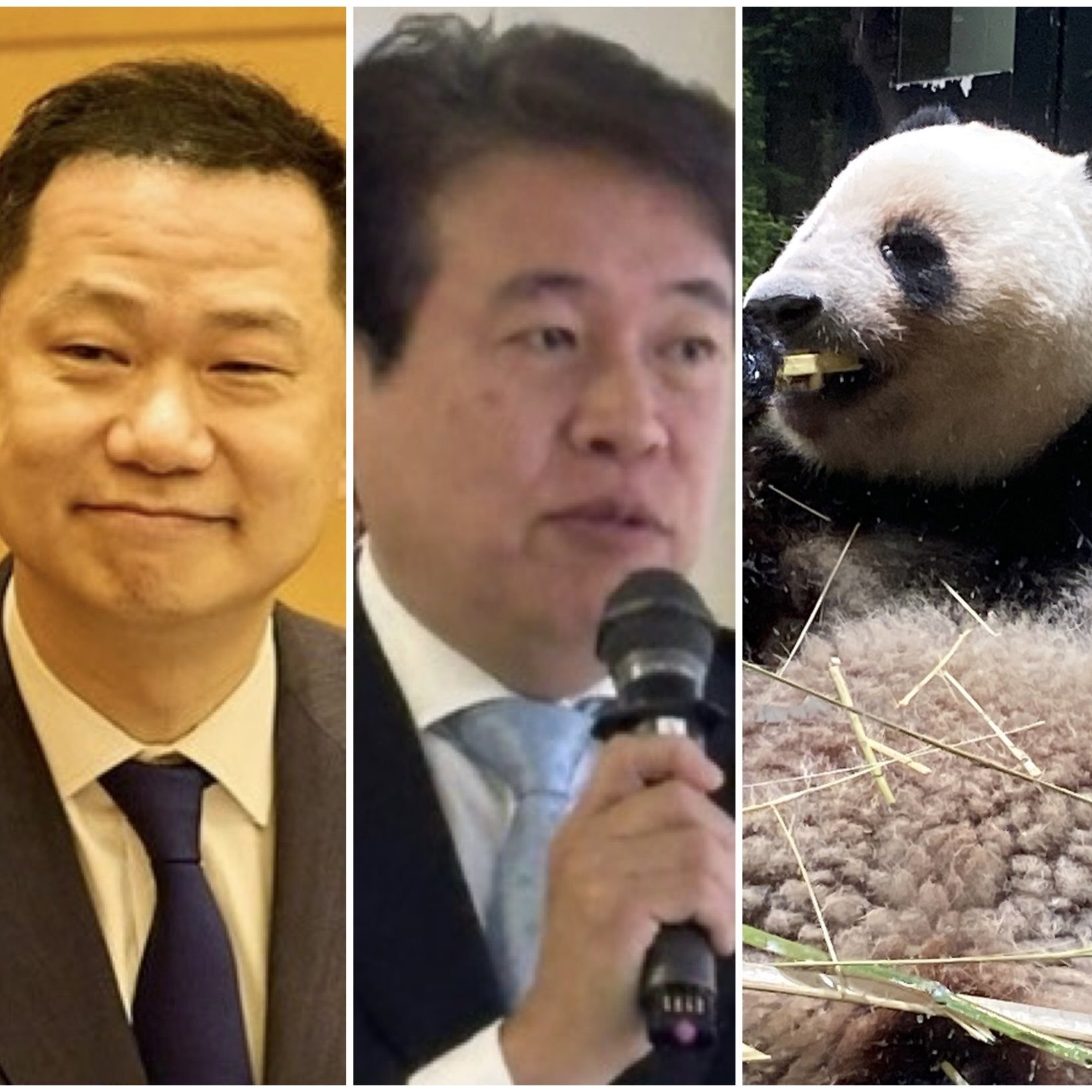 参院選情勢調査で苦戦が伝えられる自民党