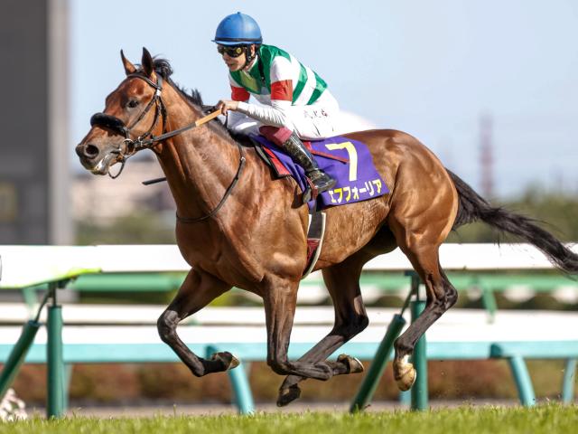 エフフォーリア　たてがみ　値下げ◎ セレクトセール2024 注目馬紹介】③エフフォーリア産駒