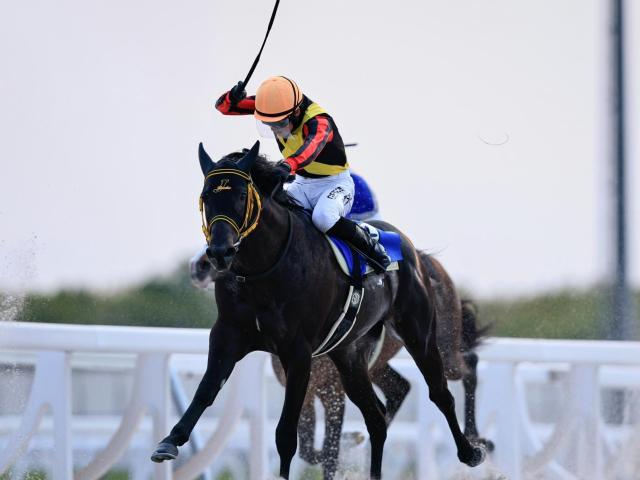 函館2歳S】約9年ぶりに地方馬のJRA重賞制覇なるか 門別3戦2勝の
