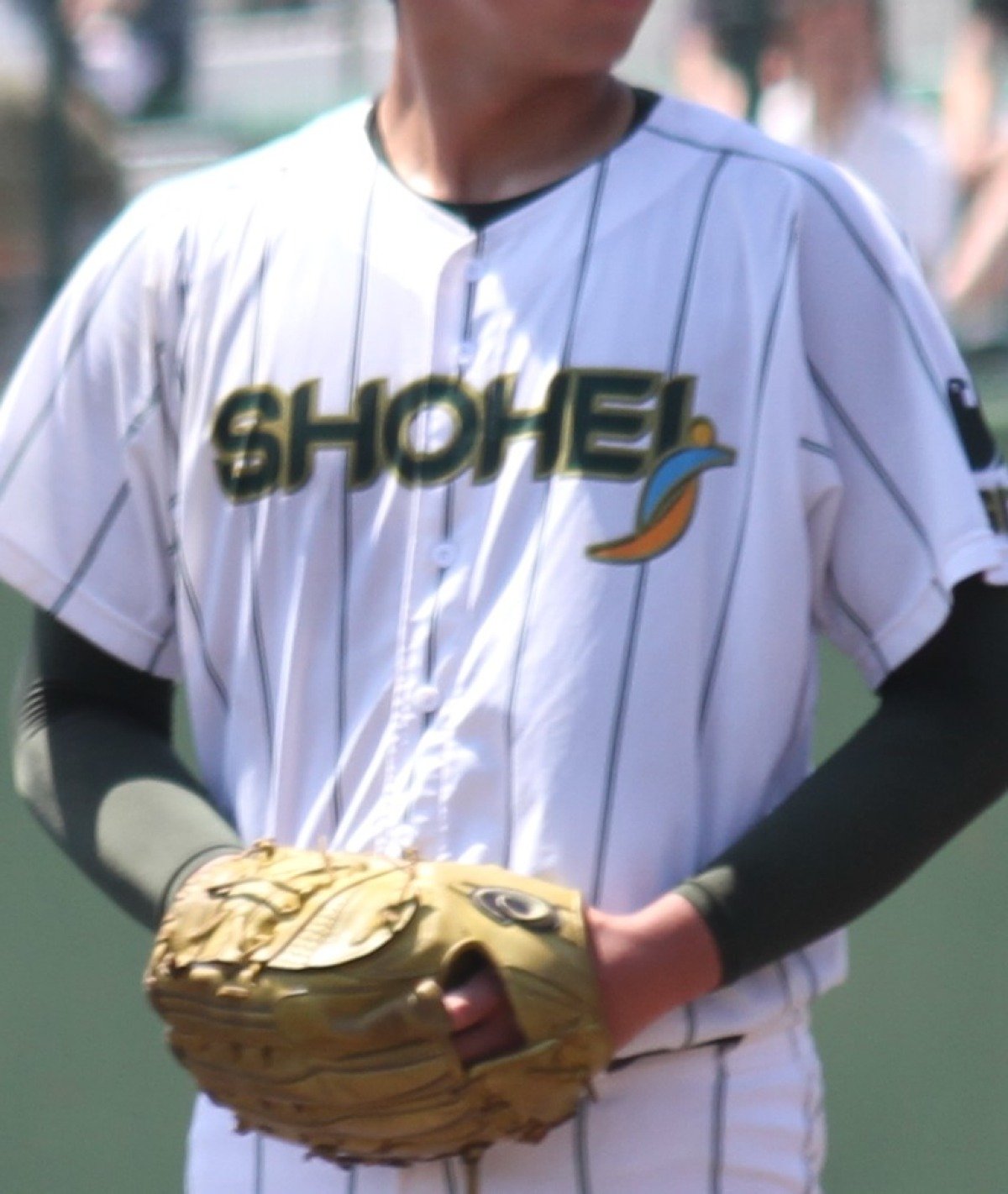 昌平、聖望学園がコールド勝ちで4回戦へ！埼玉大会【25年夏高校