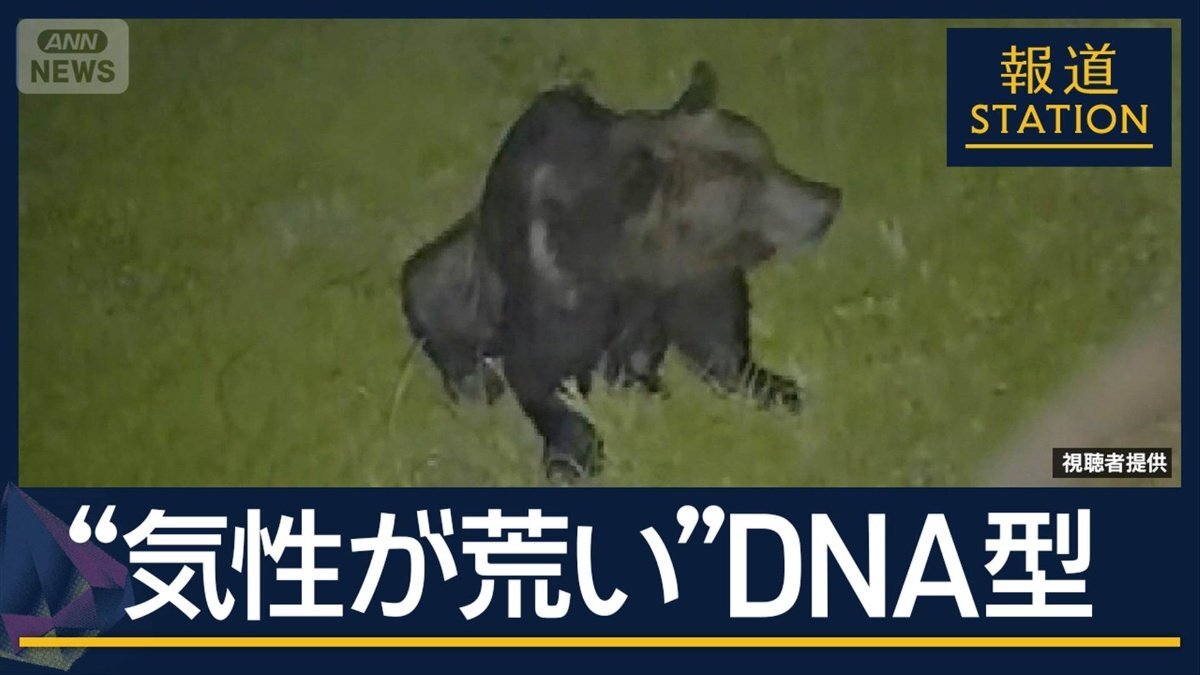 北海道福島町の水路周辺で確認されたヒグマの足跡と見られる痕跡