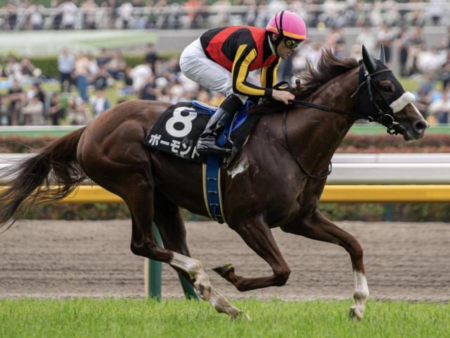 AVANTI Sサイズ 第116回 天皇賞 エアグルーヴ エアグルーヴ 競走馬ぬいぐるみ Sサイズ AVANTI アバンティー 第