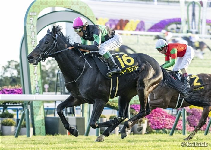 小倉記念】馬場バイアス炸裂！競馬の常識を覆す「外枠の追い込み