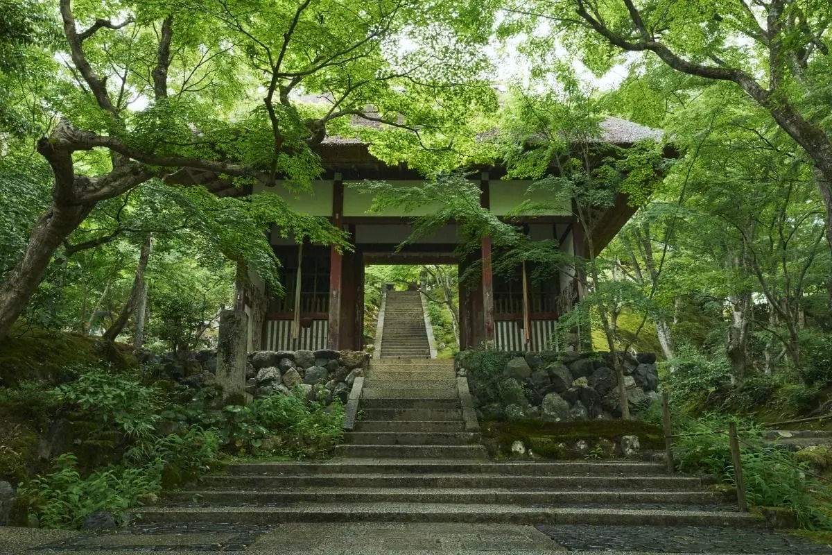 そうだ 京都、行こう。」 青もみじ、すだれ越しの光、ひんやり