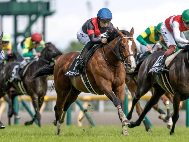 フランス競馬百年史　ギイ.チボー著　貴重 キセキ (競走馬) - Wikipedia