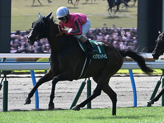 JRA小倉　オグリワン JRA小倉 オグリワン オグリワン (Oguri One) | 競走馬データ