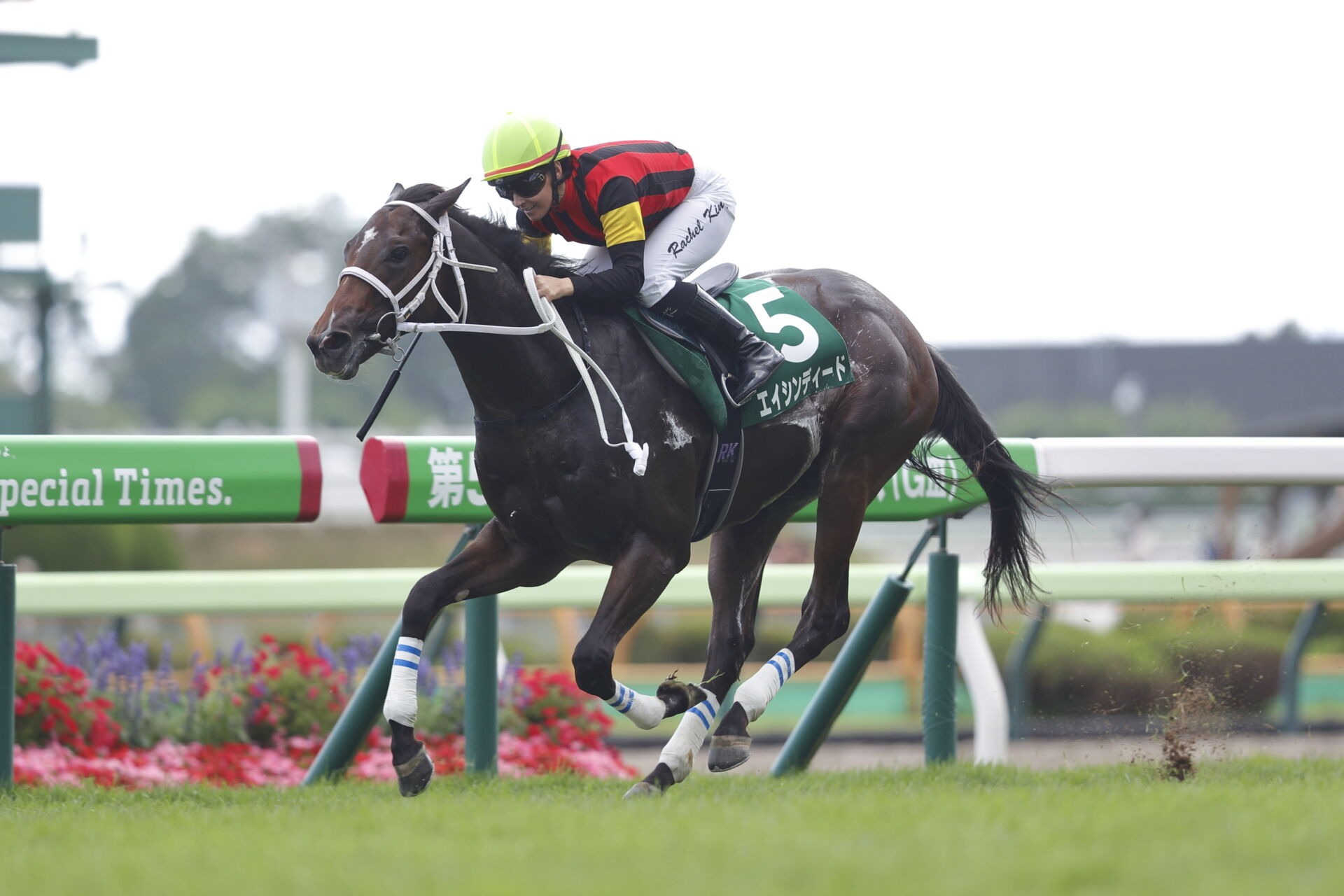 函館2歳S】R.キング騎乗、伏兵エンシンディードが逃げ切る（競馬