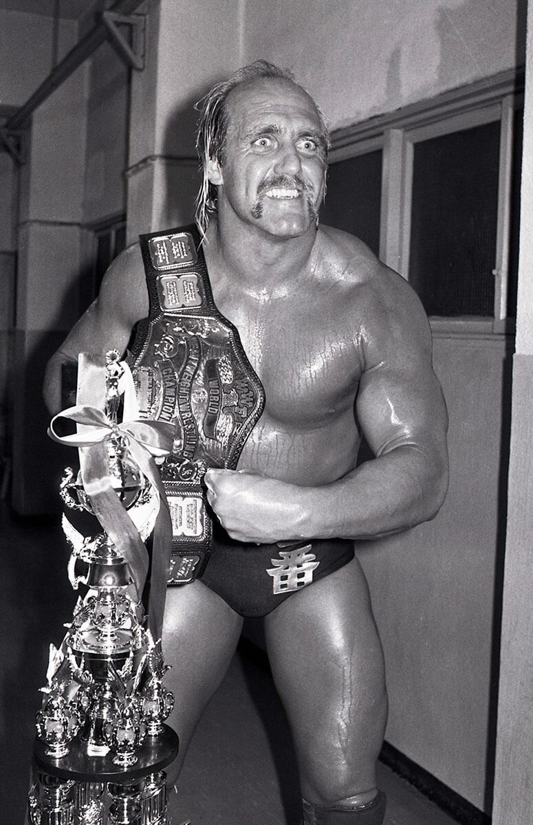 80ｃｍ WWF ハルクホーガン プロレス ボディービル 筋肉マン アントニオ猪 ハルク・ホーガン - Wikiwand