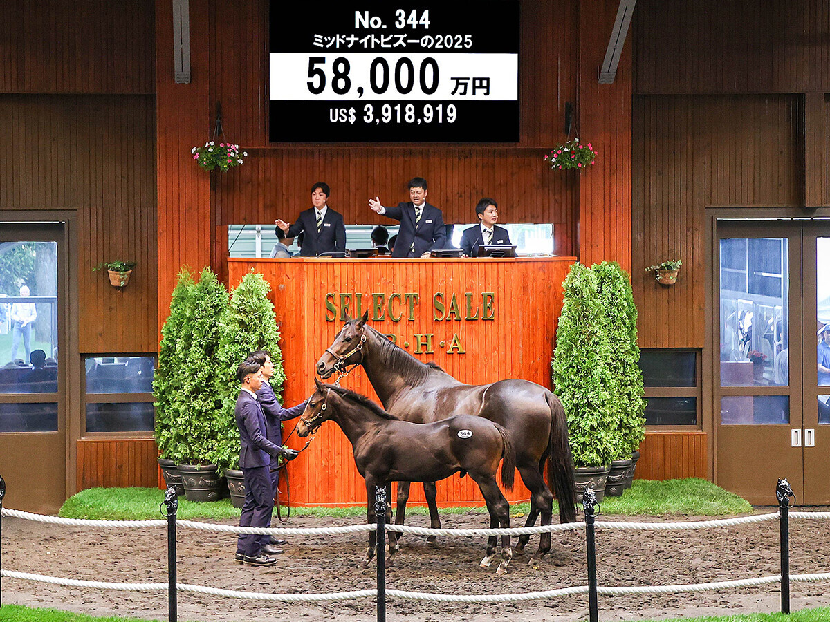 11頭が1億円超えの高値で落札されたイクイノックス産駒 間近で