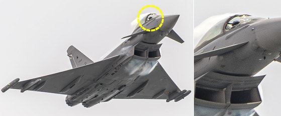 ７３００万ポンドの戦闘機、エアショー中に衝突…原因はカモメ＝スペイン