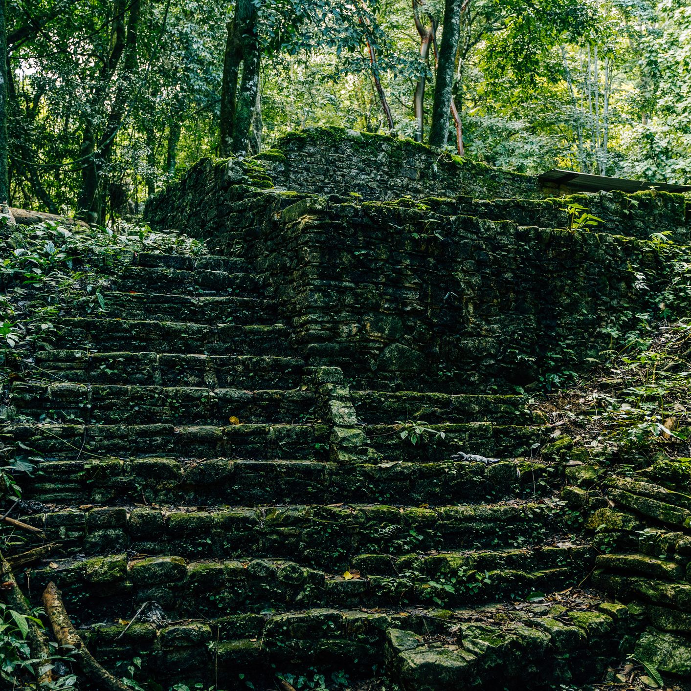 新遺構の発見】1000年前に “謎の消失” を遂げた、古代ティワナク