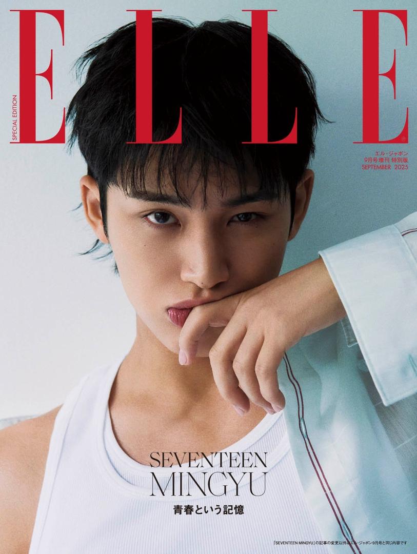 SEVENTEEN ミンギュ ④ SEVENTEEN Japan on X: 