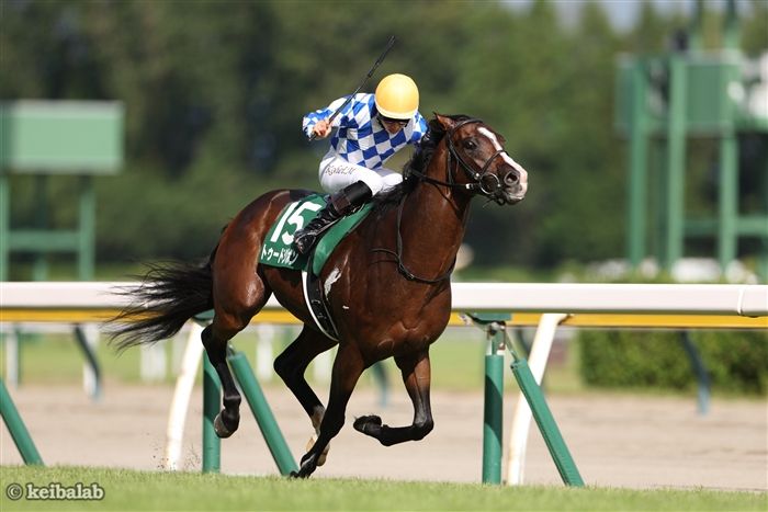 単勝馬券 シーキングザパール 3枚 ウマ娘攻略日記183 欧州G1初制覇という運命を越えて