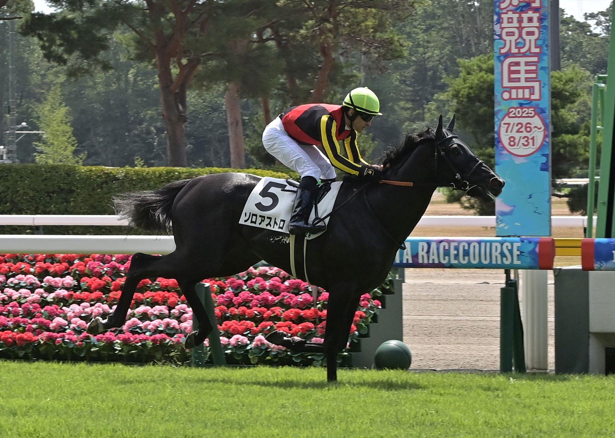 新潟2Rの2歳未勝利戦で馬単JRA史上最低配当の130円