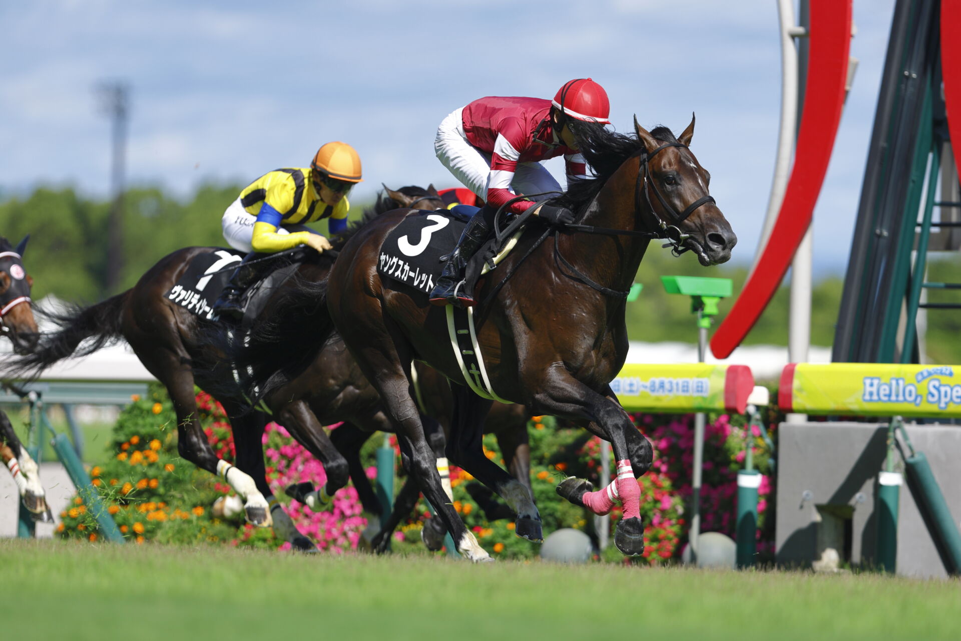 木曽川特別】サトノアラジン産駒 ヤングスカーレットが3連勝