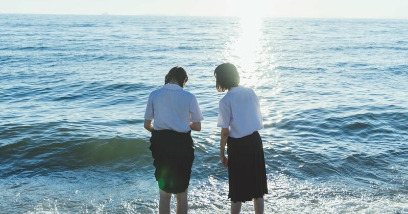 大学受験や就職活動に取り組む学生がPCで情報収集をする様子