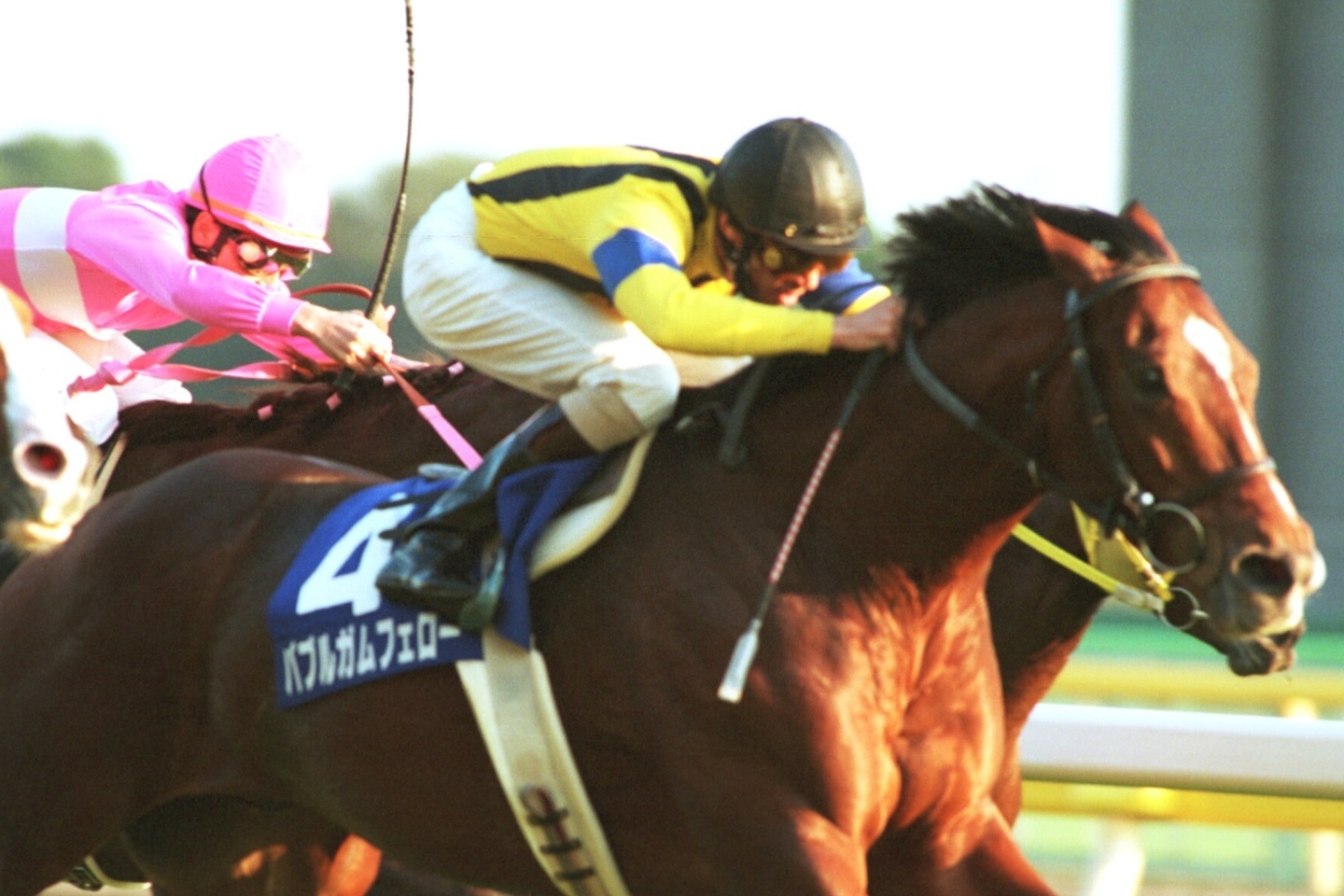 ■現地的中単勝馬券■ バブルガムフェロー 1996年 天皇賞秋 1996年 天皇賞（秋）（GⅠ） | バブルガムフェロー | JRA公式