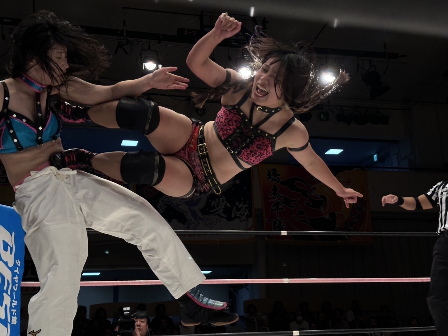 レア　仙女VS スターダム団体対抗　女子プロレスの変 仙女がスターダムとの抗争で激勝！【赫覚醒】岩田美香＆高瀬