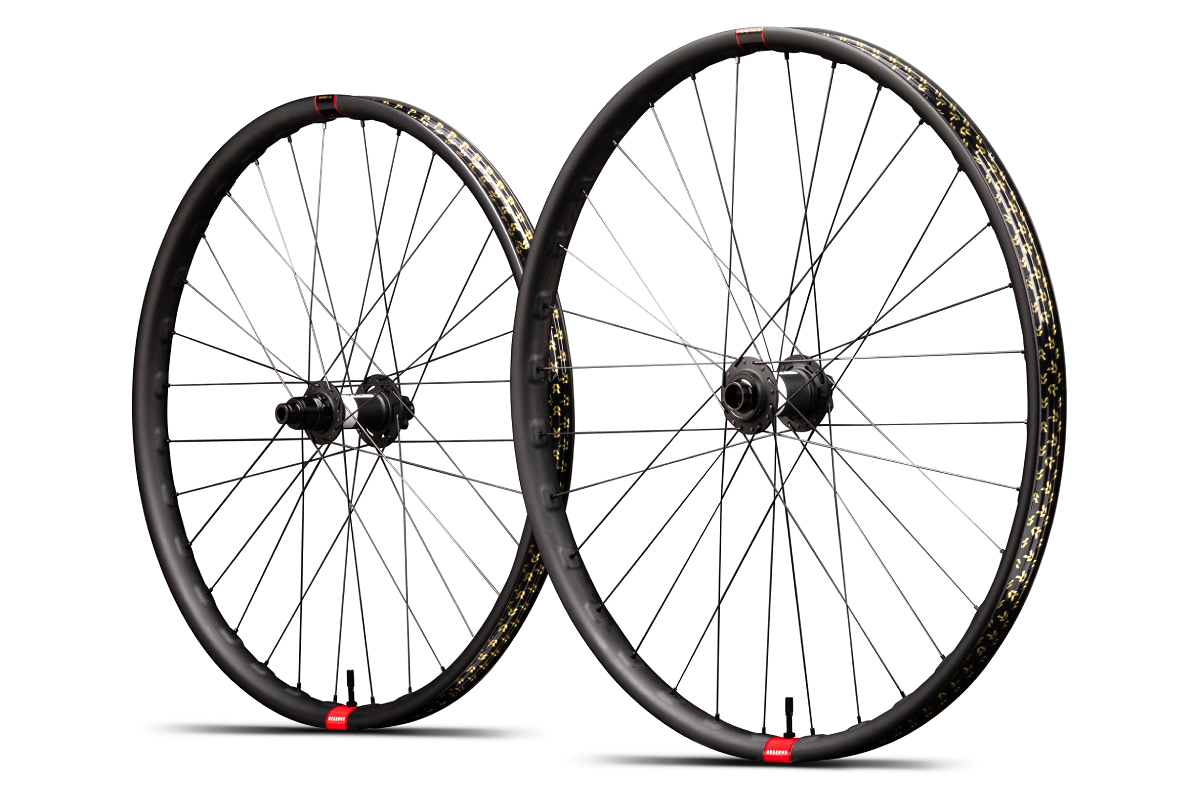リザーブ、ワールドカップ仕様のDHホイール発売 DT Swiss新型