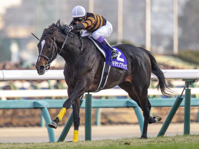 キタサンブラック キタサンブラック - Wikipedia