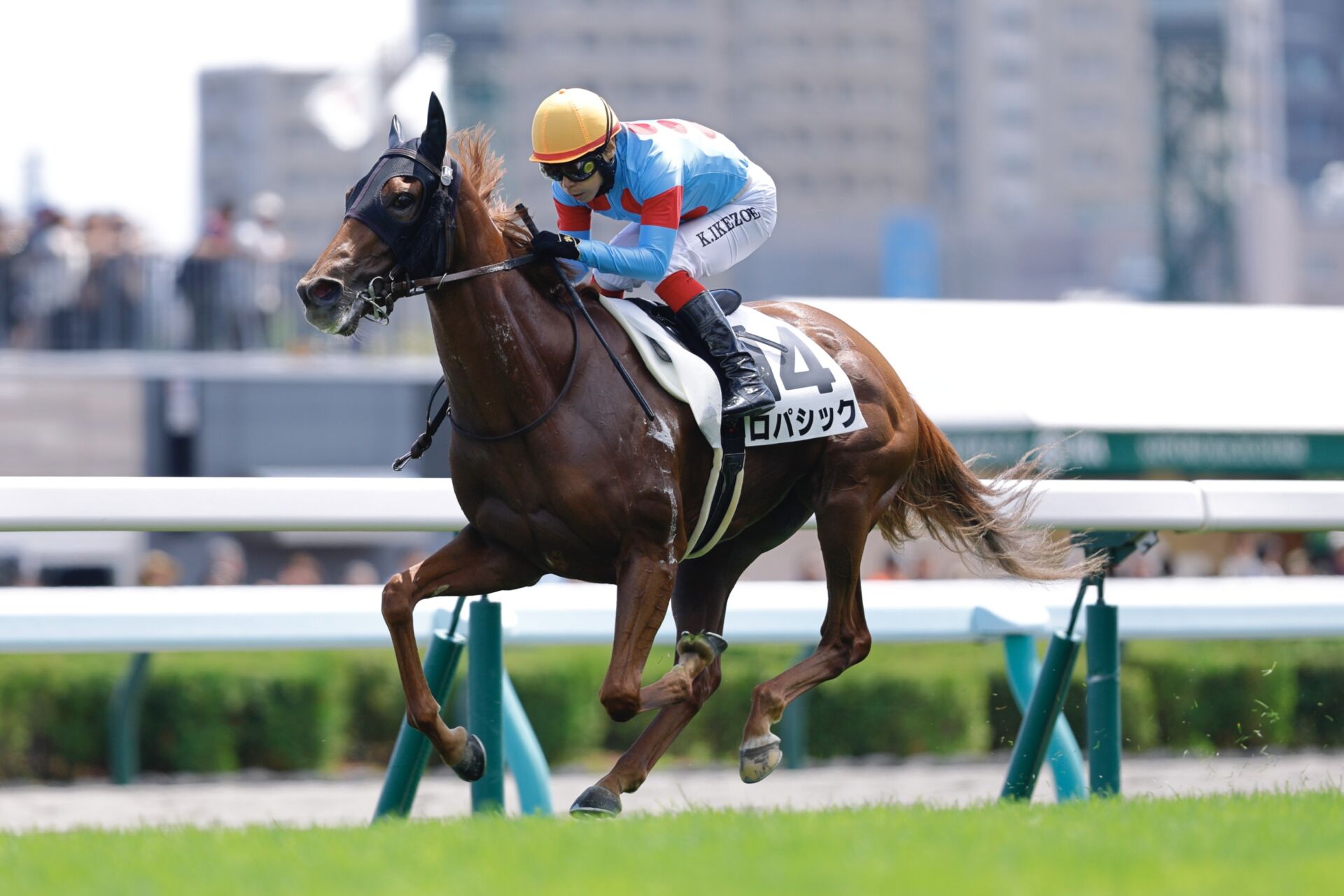 池添騎手・ブラストワンピースグッズまとめ ブラストワンピース｜シルク・ホースクラブ公式｜Silk Horse Club