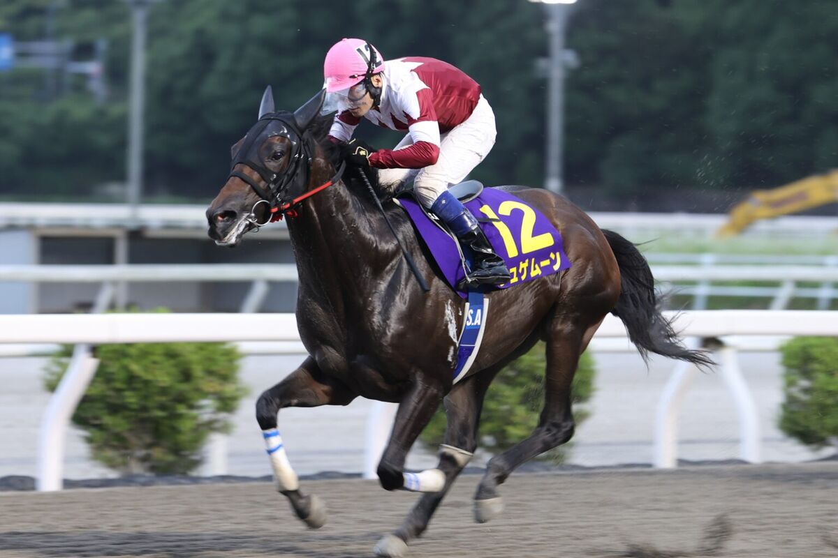 高知競馬・黒潮菊花賞（3日）大恵陽子のイチオシ】ジュゲムーン