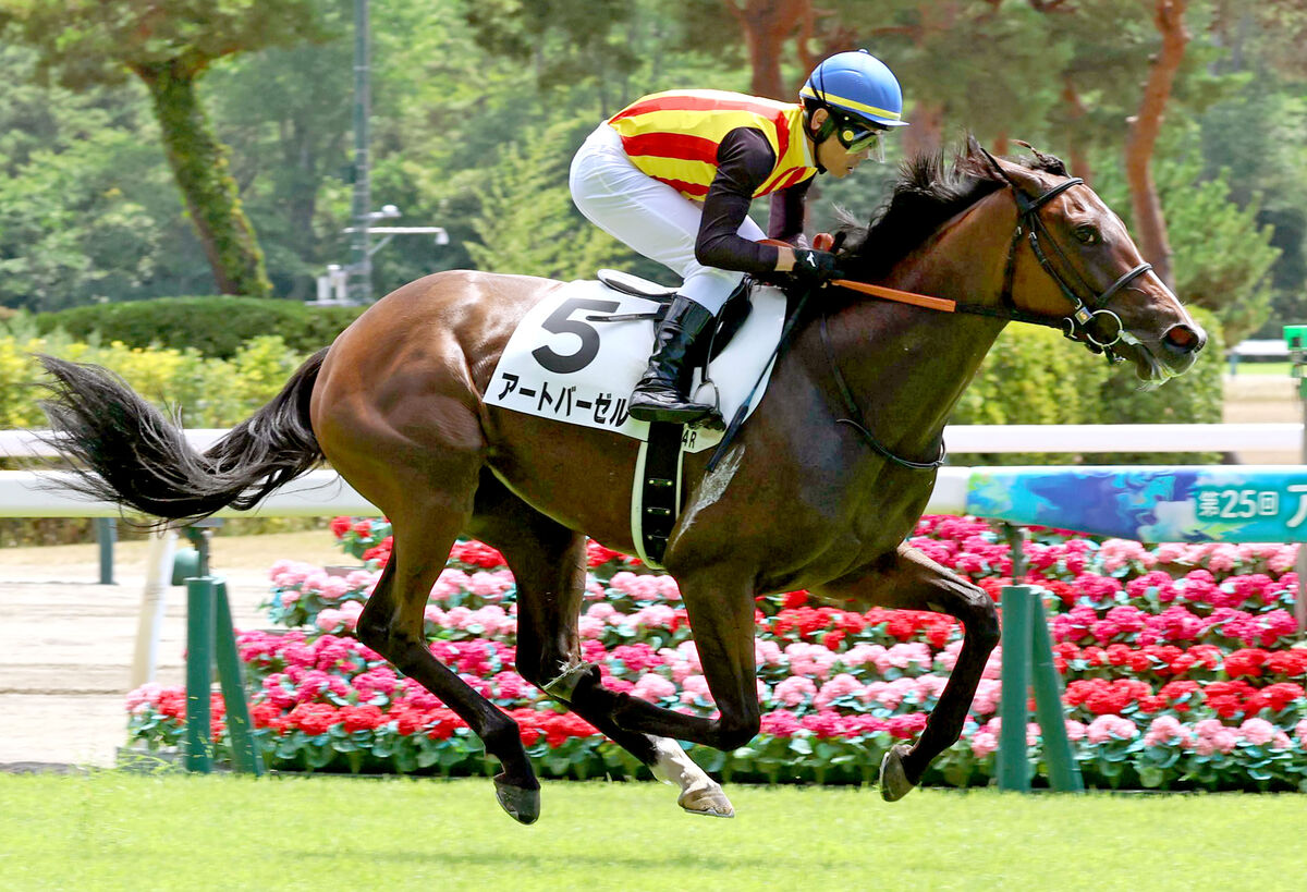 新品 馬騎手の絵画 新潟4R・2歳新馬】3番人気の良血馬アートバーゼルが堂々の初