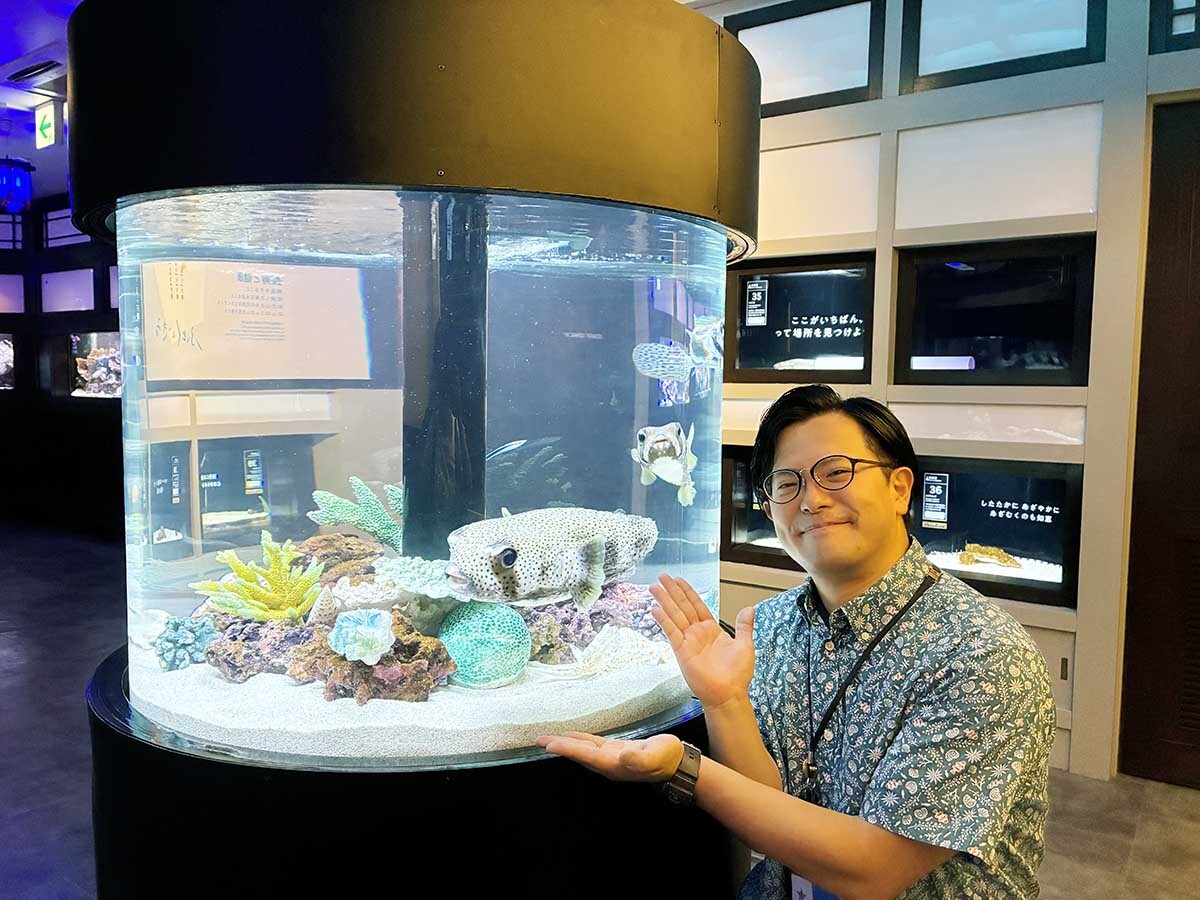 インテリア　海　キモ　開運 沖縄から横浜中華街へ…海の生き物がやってきた！ 開運水族館で