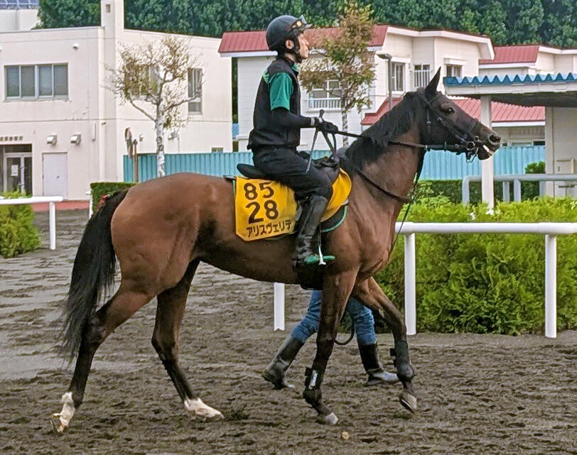 日曜札幌競馬場の注目激走馬…札幌11Rクイーンステークス