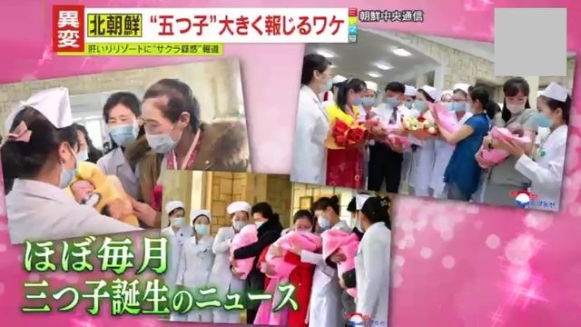 北朝鮮の国営メディアで報道された三つ子の赤ちゃんたち