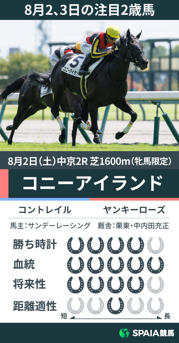 競馬2着馬物語 VBVKKIVFH5MSTL6HHMUBO45BZE.jpg