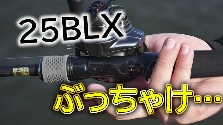 DAIWA最新バス釣りロッド実力検証！専門誌編集長のお気に入りは