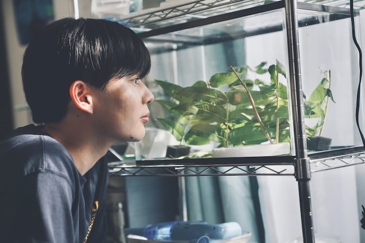 なにわ男子・長尾謙杜主演映画『恋に至る病』新場面写真公開