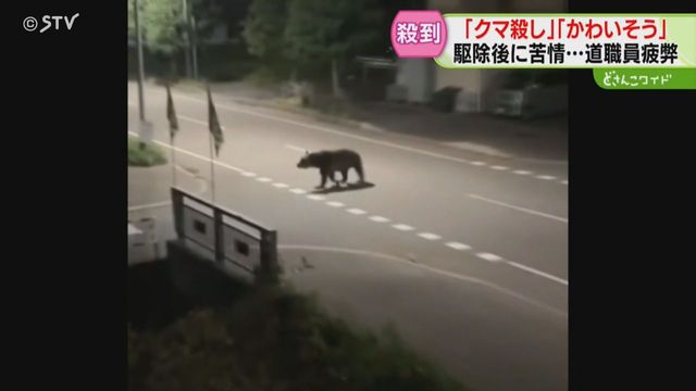 きままな熊 mqdefault.jpg
