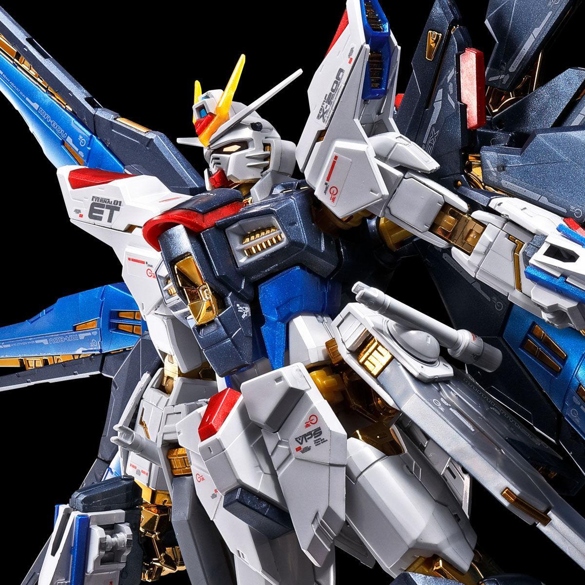 プレバン限定商品 RGストライクフリーダム チタニウムフィニッシュ(未組立) Amazon | BANDAI RG 1/144 ストライクフリーダムガンダム
