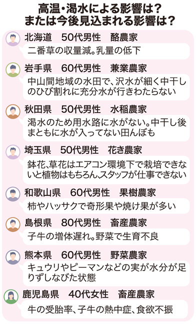 干ばつでひび割れた田んぼの様子、日本の農業が直面する水不足の深刻さを象徴